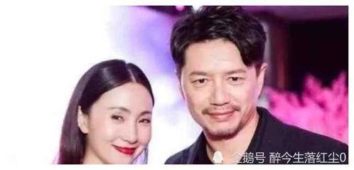 娱乐圈明星吃瓜全集,幕后故事全收录